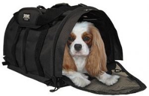 lightest pet carrier