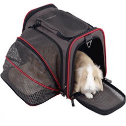 Airline Approved Pet Carrier - Dog 