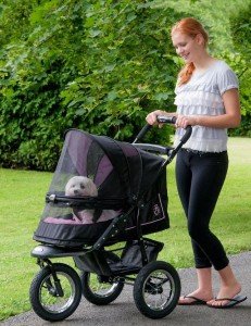 How to find the best pet stroller1