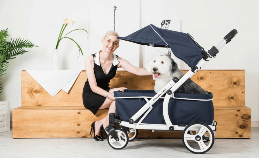 Basic Pet Stroller Assembly and Maintenance Tips