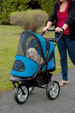pet-gear-at3-generation-2-all-terrain-pet-stroller