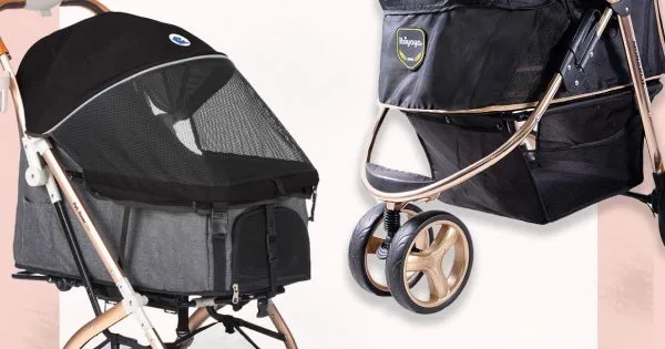 Designer Pet Strollers - TOP-8 Excited Models Designer pet strollers