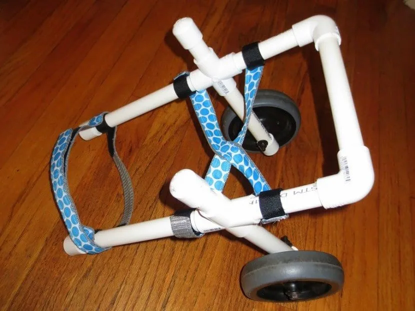 PVC DIY Dog Wheelchair