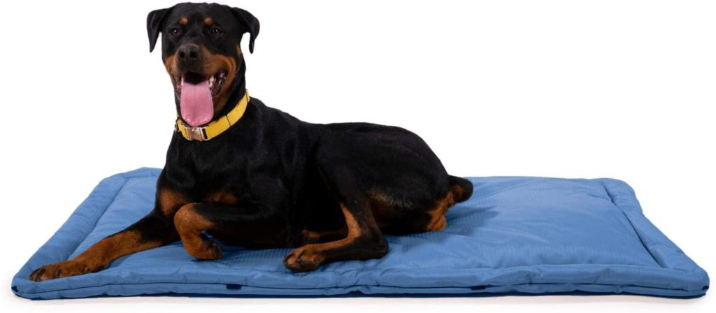 kong durable dog bed