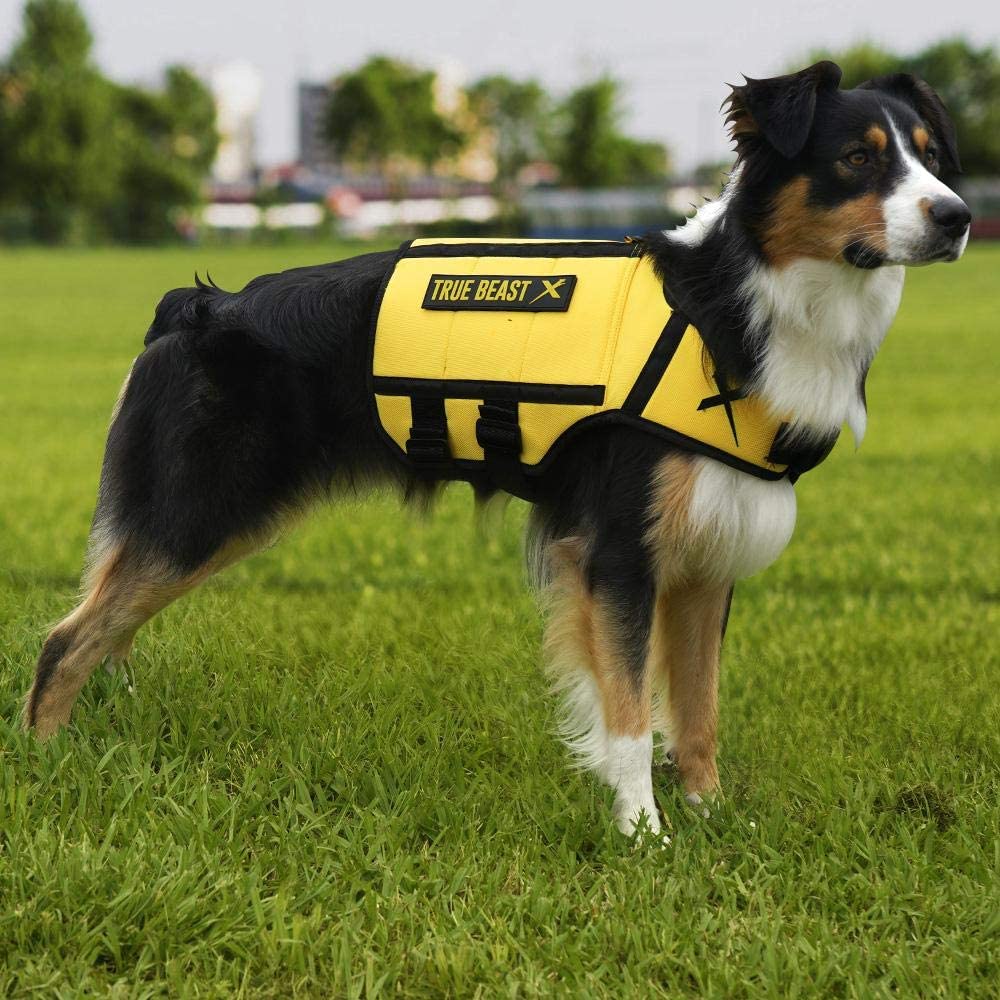 weighted jackets for dogs