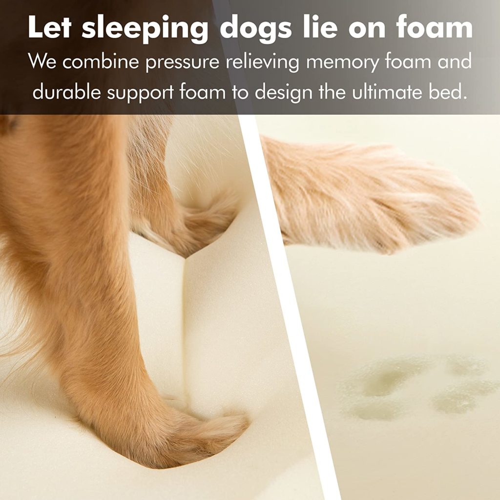 foam for sleeping dogs