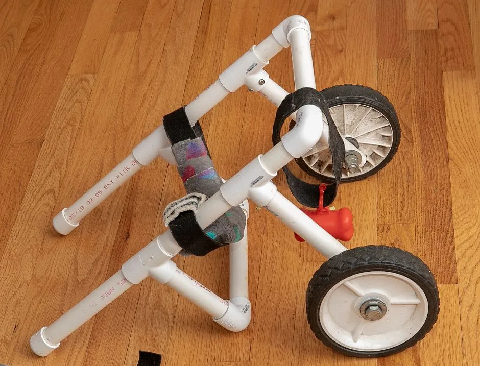 DIY Dog Wheelchair