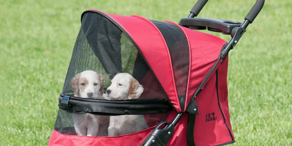 The Ultimate Pet Stroller Review 2024 dog in stroller