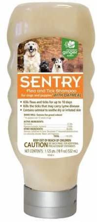Sentry Flea