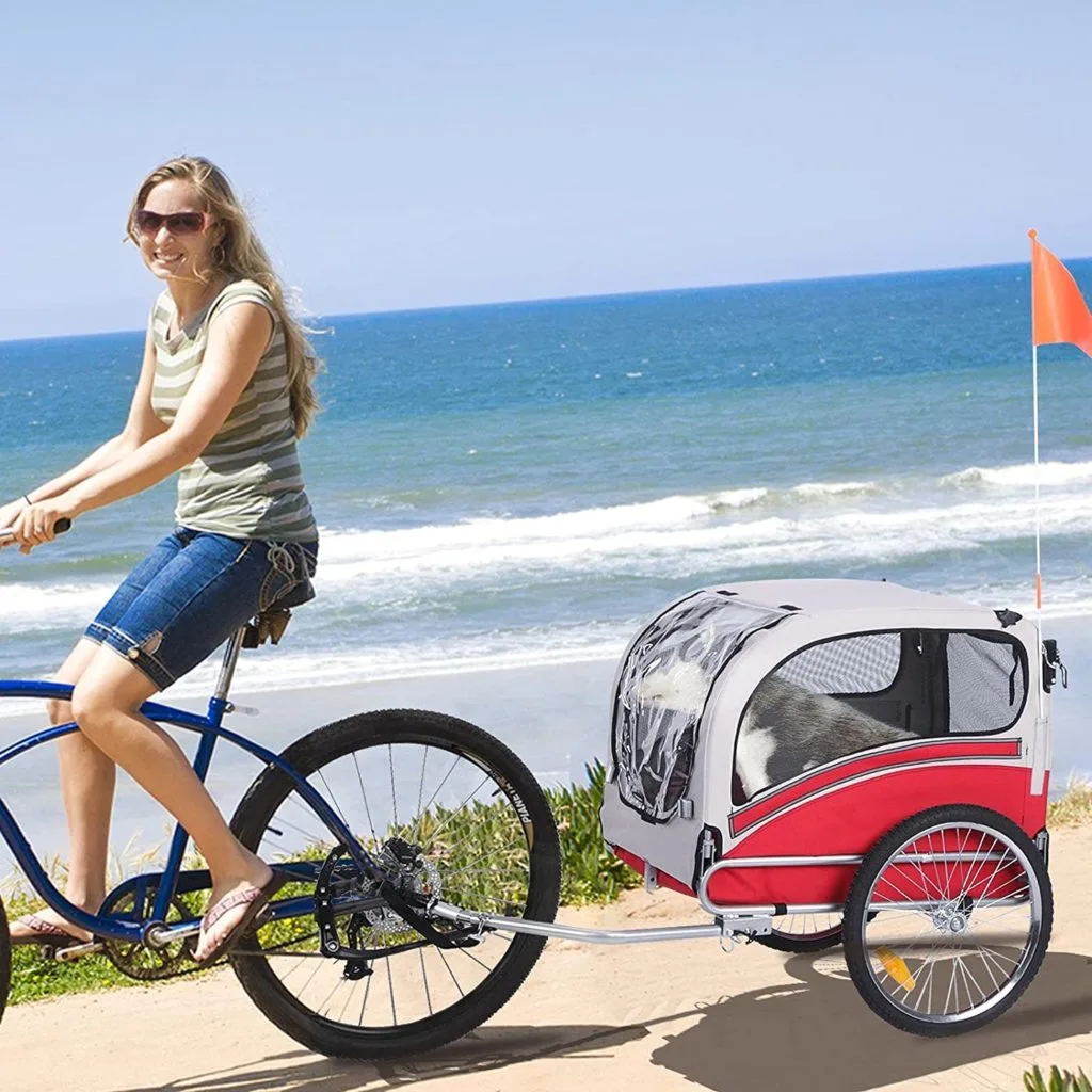 2 in 1 Pet Bike Sepnine