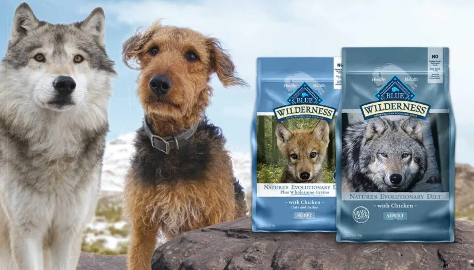 History Of The Blue Buffalo Recall Blue Buffalo History