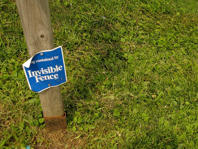 invisible fences