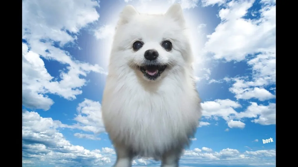 Really Gabe The dog died