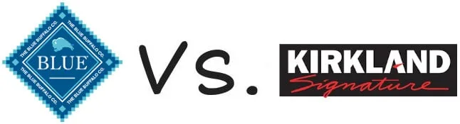 Who Is The Winner?