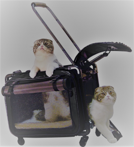 Cats Stroller